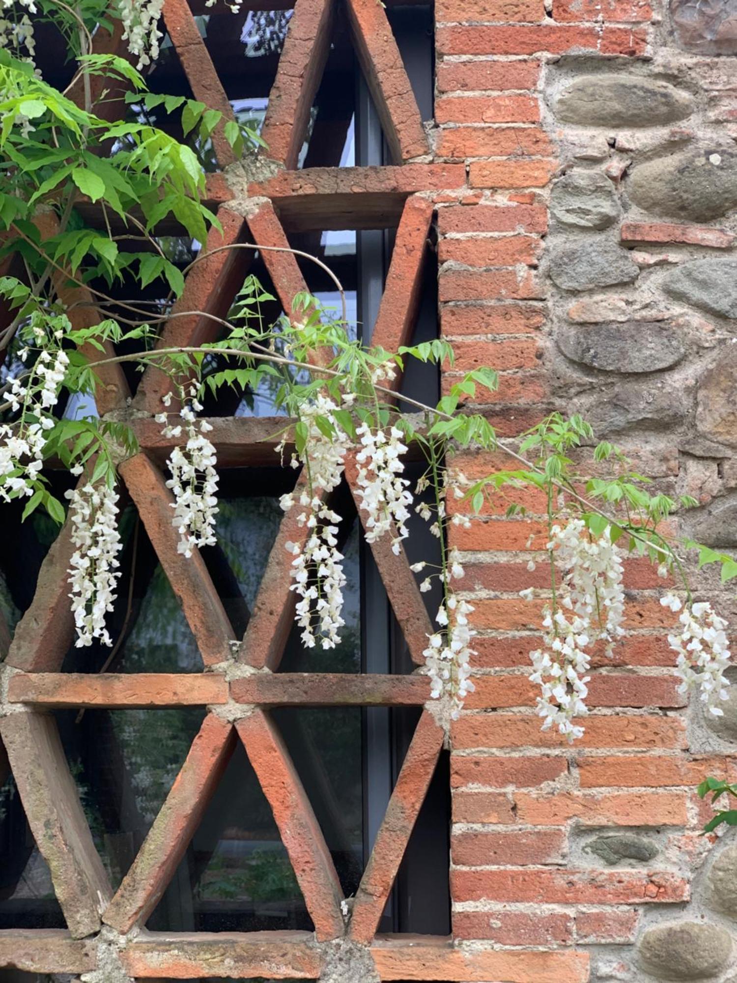 Casale La Gora - B&B Di Charme Figline Valdarno Exterior foto